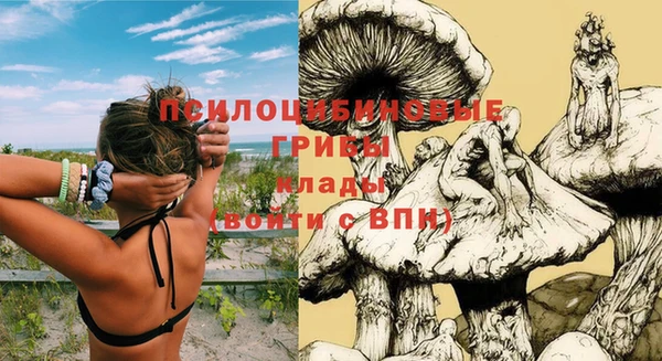 МДПВ Балахна