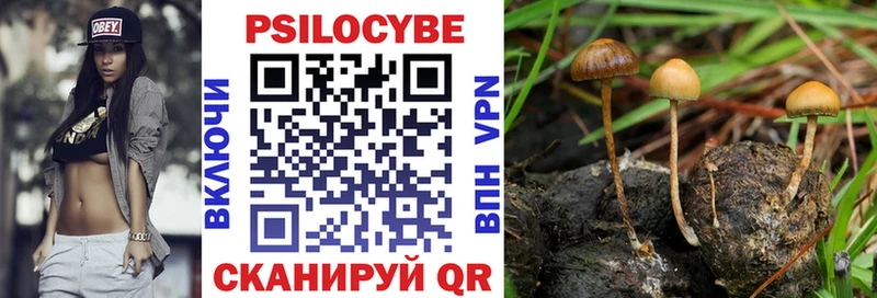 Псилоцибиновые грибы Magic Shrooms  наркошоп  Горно-Алтайск 